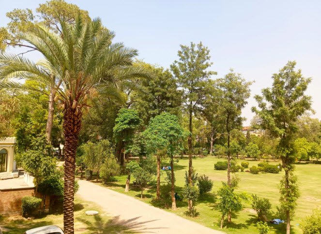 Liaqat Botanical Garden, Peshawar, Pakistan, Pakistan